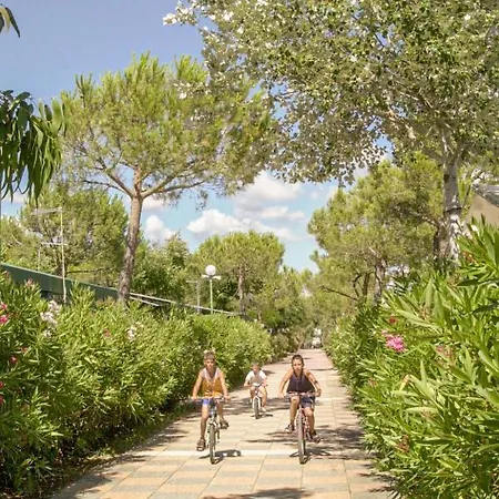 Holiday home Free By Interhome Marina Di Bibbona